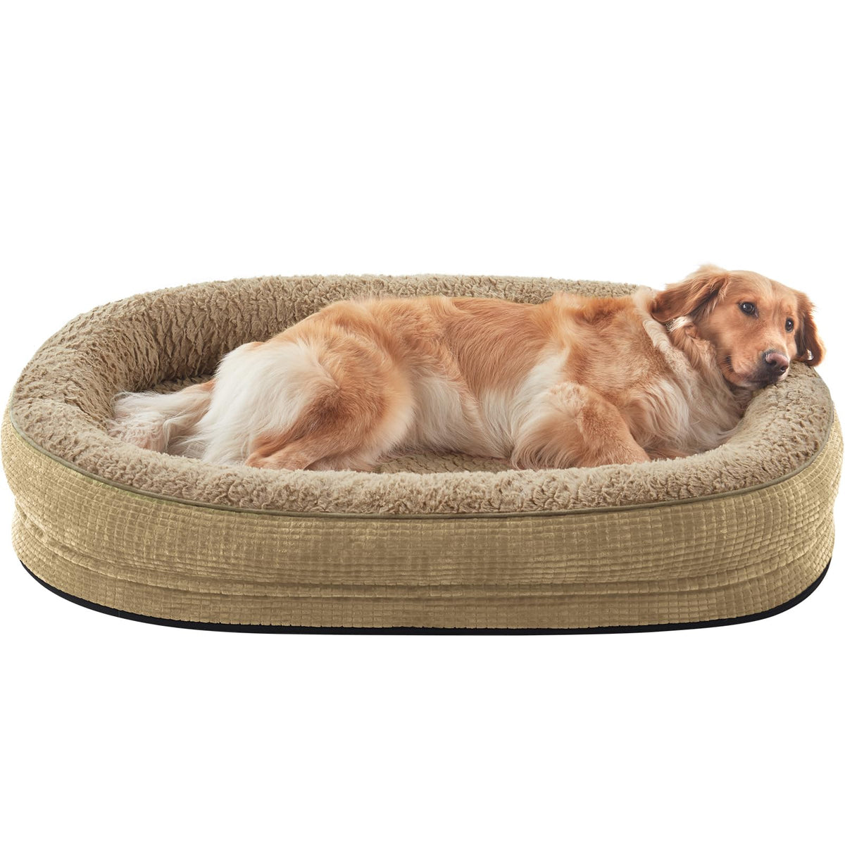 Dog Beds