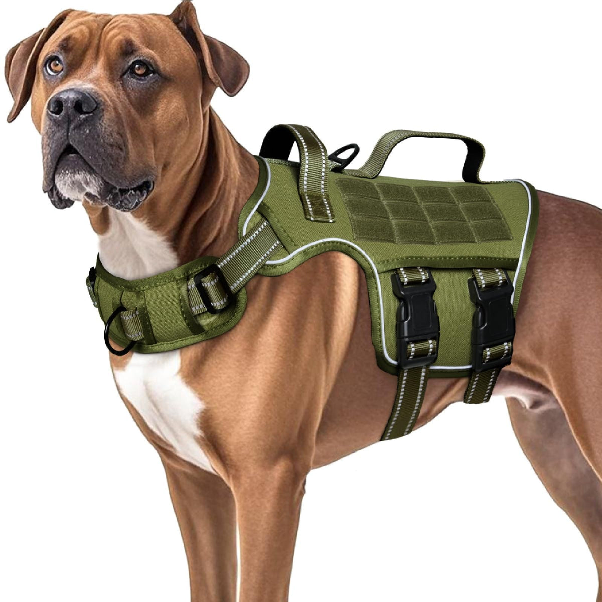 Dog Harnesses