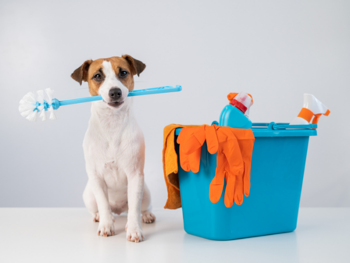 Cleaning Supplies