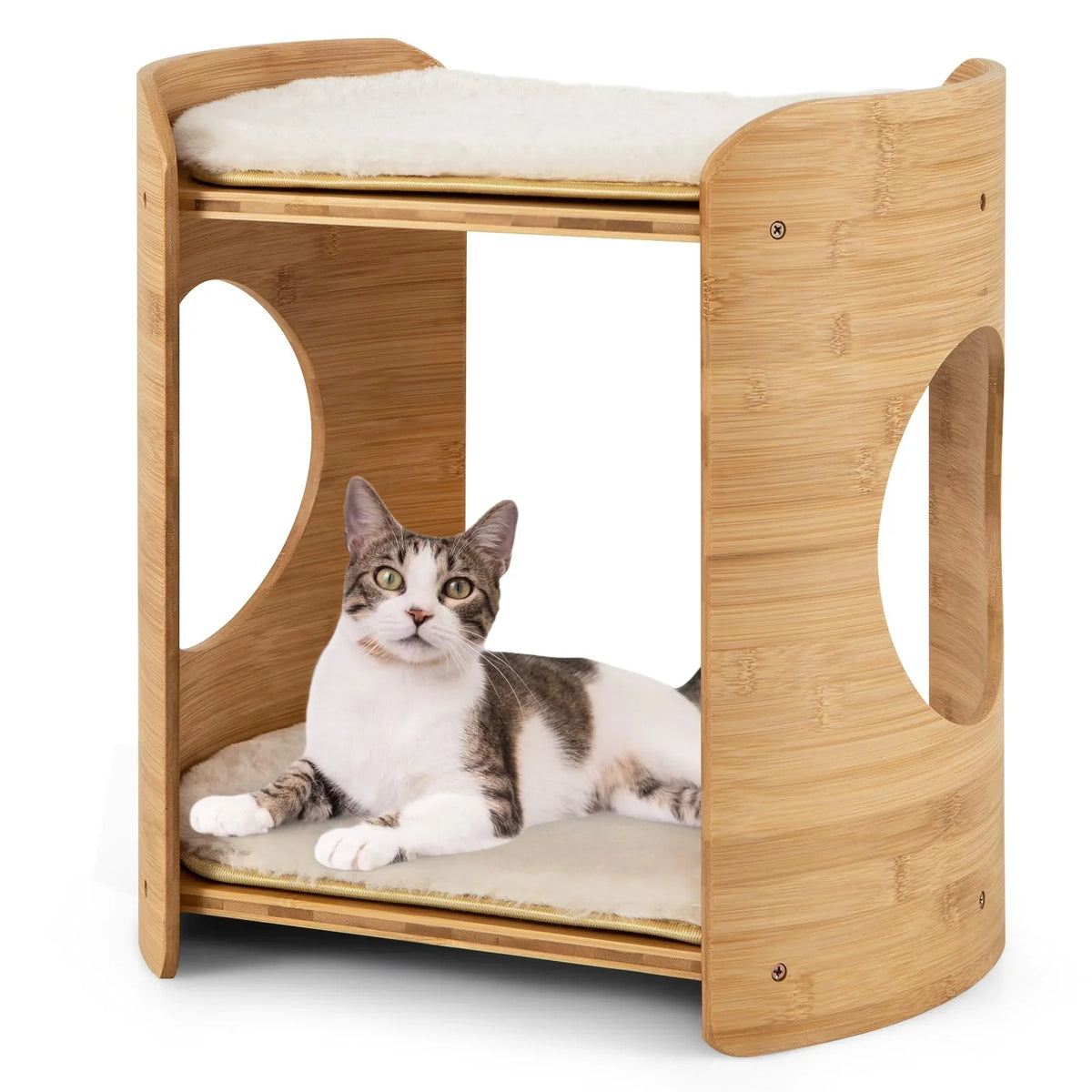 Cat Beds