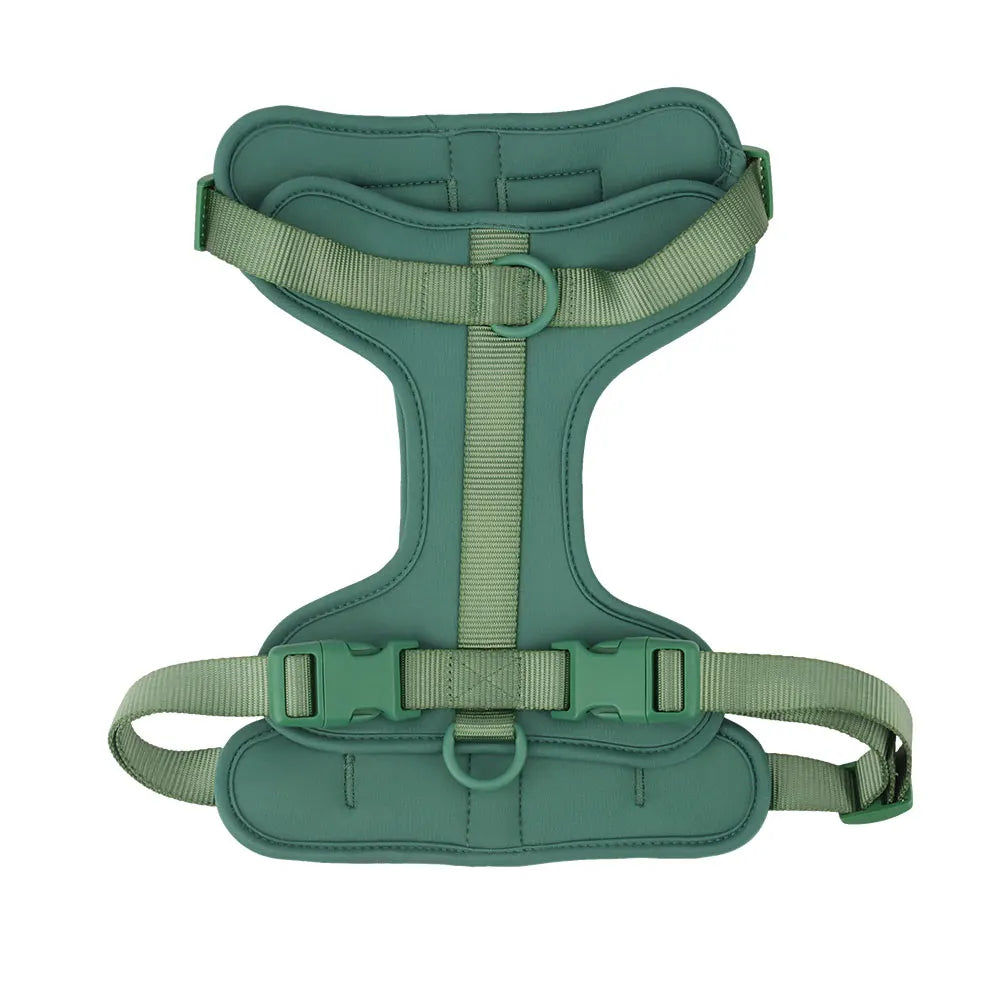 Breathable Lightweight Dog Harness Adjustable Pet Chest Strap Outdoor Walk Training Pet Harenss for Small Medium Dog
