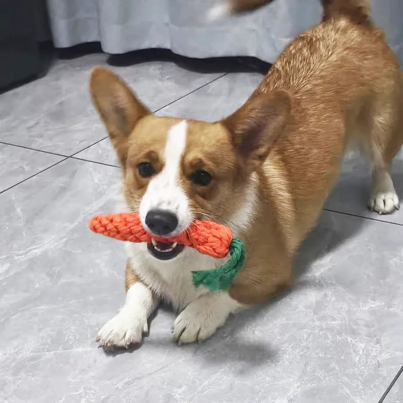 Interactive Carrot Cotton Rope Chew Toys For Small Dogs Puppy Teeth Cleaning Bite Resistant Pet Play Toy Pet Supplies