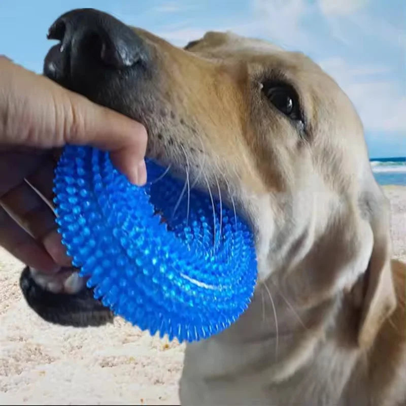 Durable Squeaky Tpr Dog Chew Toy With Spiky Ring Texture Teeth Cleaning And Grinding Tire Toy For Dogs Non Toxic Pet Molar Toy