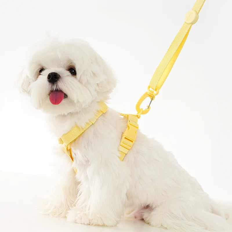 Adjustable Dog Harness Collar Leash Set Macarone Color, Reflective Small Dog Accessories for Puppy & Cat Supplies, Pet Walking