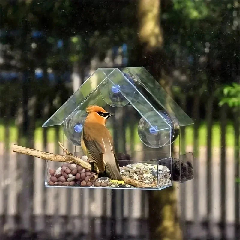 Acrylic Bird Feeder Clear Window Outside Hanging Bird Feeder House with Suction Cup for Garden Outdoor Backyard Wildlife Birding