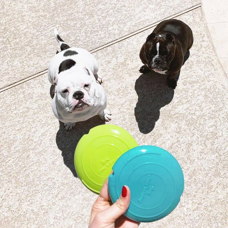 CAITEC Dog Toys Squeaking Foraging Disc Springy Durable Floatable Foraging and Chewing Pet Toy