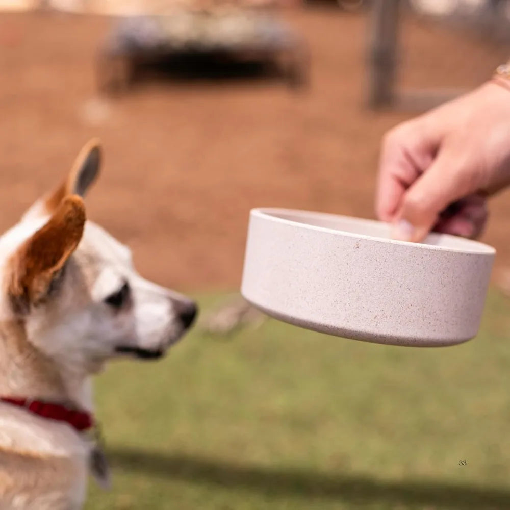 Loving Pets - Dolce Bamboo - Eco-Friendly Pet Bowls & Dishes for Dog, Cats, Puppy Food and Water Dish -Sustainable and