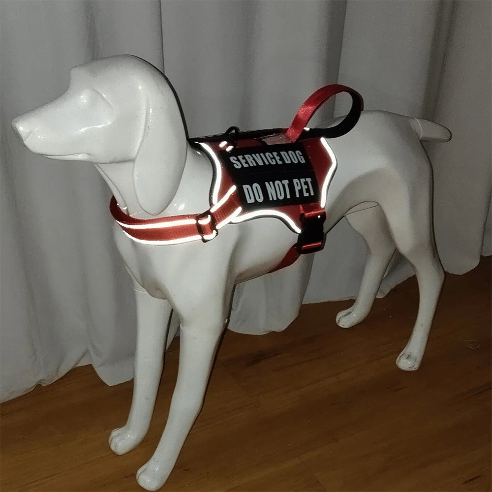 Nlyon No Pull Dog Harness with 4 Dog Patches, Reflective Pet Harness Vest with Durable Soft Padded Handle for Medium Large Dogs