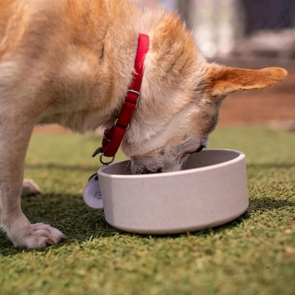 Loving Pets - Dolce Bamboo - Eco-Friendly Pet Bowls & Dishes for Dog, Cats, Puppy Food and Water Dish -Sustainable and