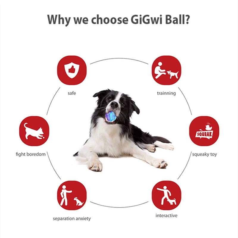 Pet Dog Puppy Squeaky Chew Toys Sound Pure Natural Non-toxic Rubber Outdoor Play Small Medium Dogs Funny Ball for Dog Supplies