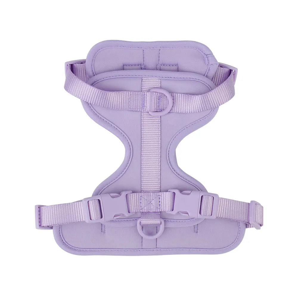 Breathable Lightweight Dog Harness Adjustable Pet Chest Strap Outdoor Walk Training Pet Harenss for Small Medium Dog
